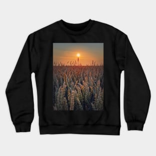 summer sun above the wheat field Crewneck Sweatshirt